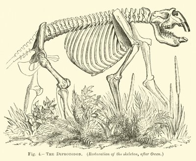Diprotodon av English School