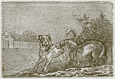 Hunden och vargen (gravyr) av English School
