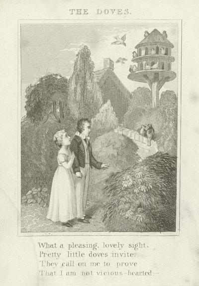 Die Tauben von English School