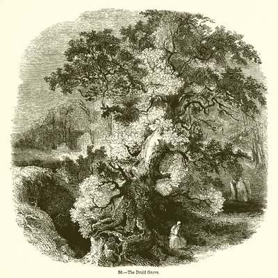 Druid Grove av English School