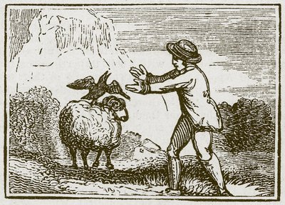 Örnen och kråkan (gravyr) av English School