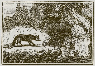 Räven och det sjuka lejonet (gravyr) av English School
