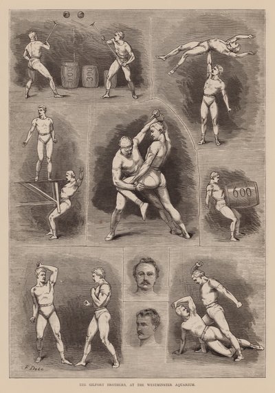 Die Gilfort-Brüder im Westminster Aquarium (Gravur) von English School