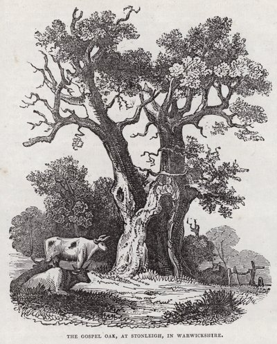 The Gospel Oak, Stonleigh, Warwickshire (gravyr) av English School
