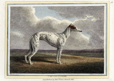 The Greyhound, pub. 1812 (handfärgad gravyr) av English School