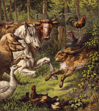 Haren och sköldpaddan (färg litho) av English School