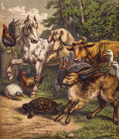 Haren och sköldpaddan (färg litho) av English School