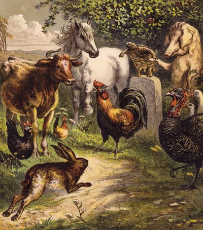 Haren och sköldpaddan (färglitografi) av English School