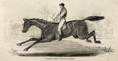 The Harrow Steeple Chase: The Last Brook, från 