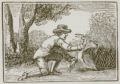Husbonden och storken (gravyr) av English School