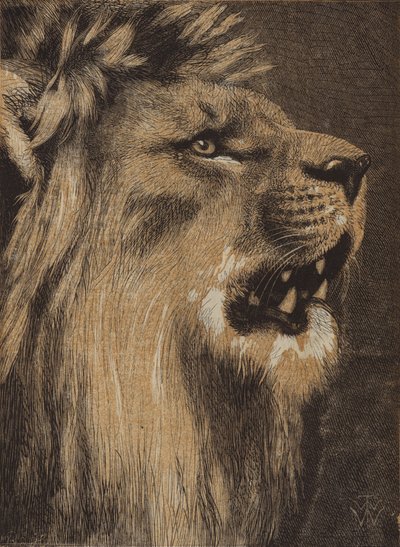 The King of the Forest (färgad gravyr) av English School