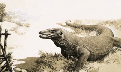 Komodo-draken av English School