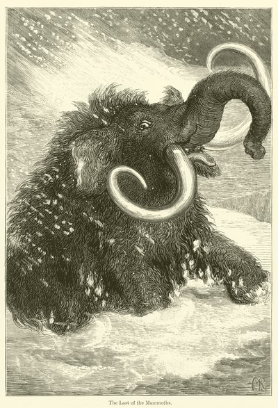 The Last of the Mammoths (gravyr) av English School