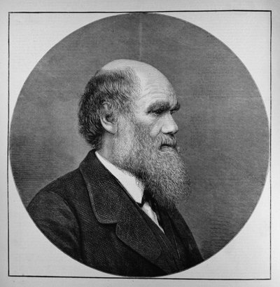 The Late Mr C. R. Darwin, FRS, LLD, från The Illustrated London News, 29 april 1882 av English School