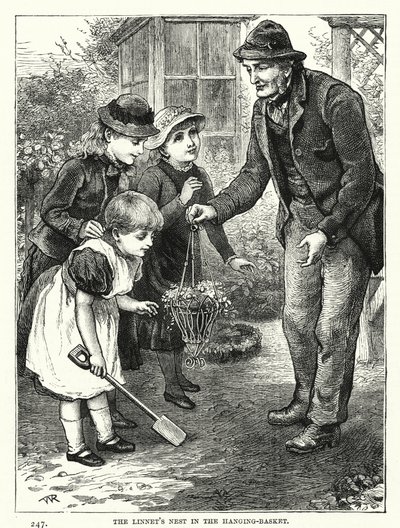 Linnets bo i den hängande korgen (gravyr) av English School