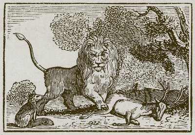 Lejonet, åsnan och räven (gravyr) av English School