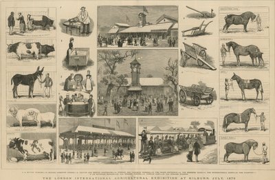 London International Agricultural Exhibition i Kilburn, juli 1879 av English School