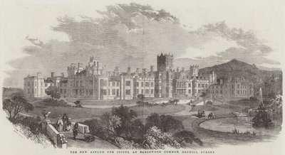 The New Asylum for Idiots, vid Earlswood Common, Redhill, Surrey (gravyr) av English School