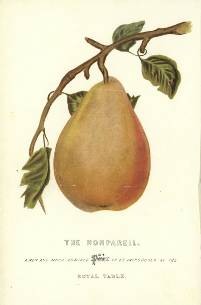 The Nonpareil av English School