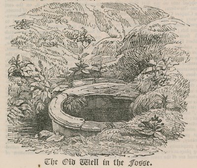 Den gamla brunnen i Fosse, Pentonville, London av English School