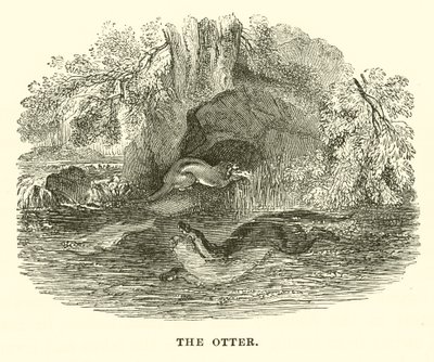 Uttern (gravyr) av English School