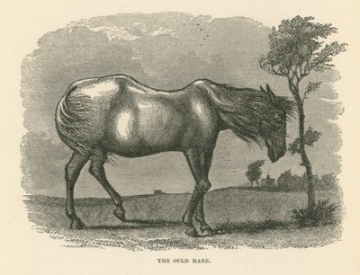 The Ould Mare (gravyr) av English School