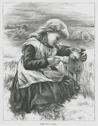 Das Lamm von English School