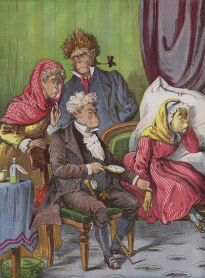 Läkaren (chromolitho) av English School