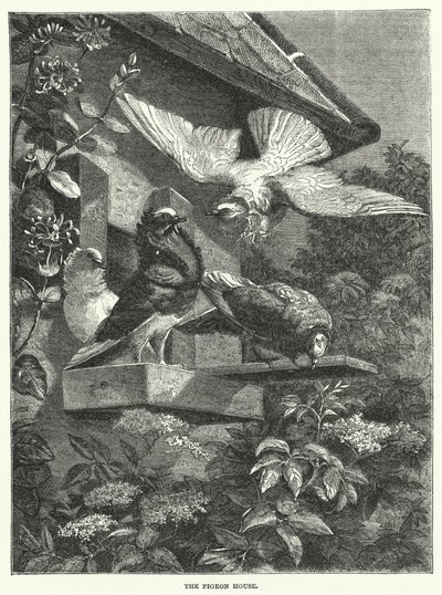 The Pigeon House (gravyr) av English School