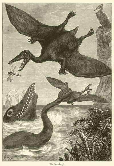 Pterodactyl (gravyr) av English School