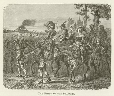 Böndernas resning av English School