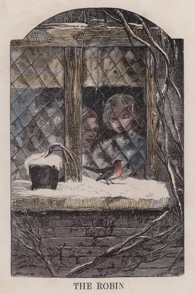 The Robin (färgad gravyr) av English School