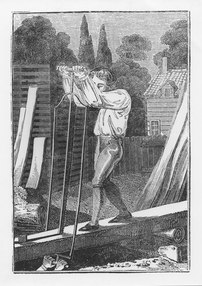 The Sawyer, från The Young Tradesman or Book of English Trades, 1839 av English School