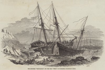 Schoonern "Providence" och briggen "Hero" i Plymouth (gravyr) av English School