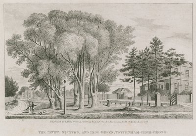 The Seven Sisters och Page Green, Tottenham High-Cross, London av English School