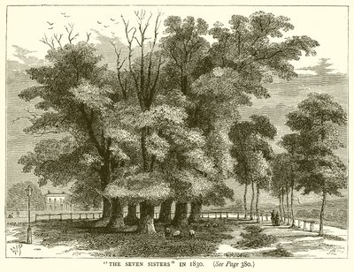 De sju systrarna 1830 av English School