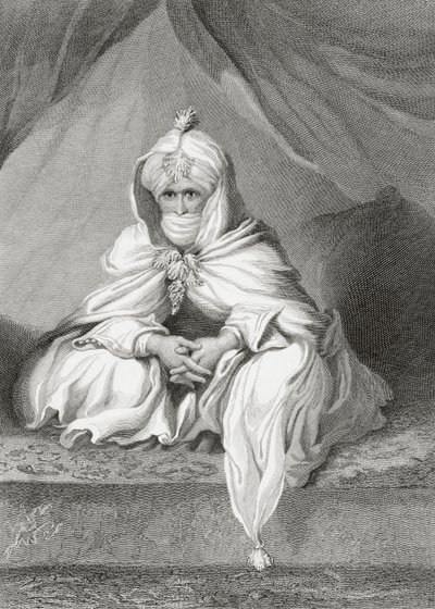 Shejken av Bornu, 1826 av English School