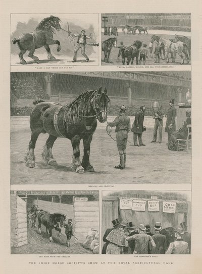 Shire Horse Society show på Royal Agricultural Hall av English School