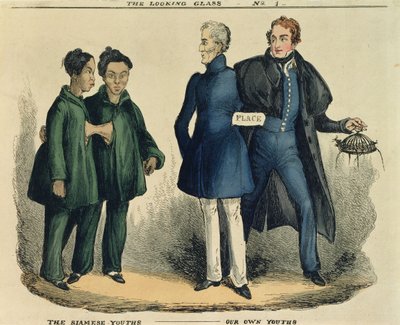 The Siamese Youths - Our Own Youths, satirisk serie från The Looking Glass, ca 1829 (färgad etsning) av English School
