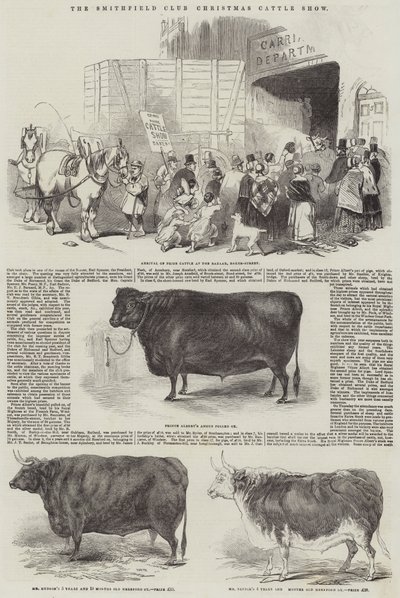 The Smithfield Club Christmas Cattle Show (gravyr) av English School
