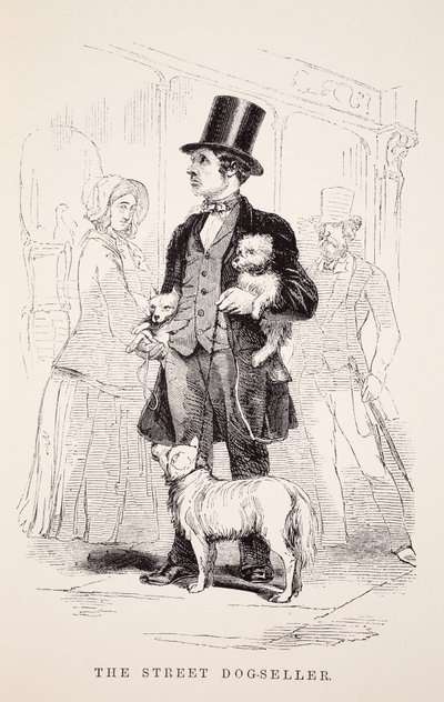 The Street Dog-Seller, illustration från London Labor och London Poor av Henry Mayhew, pub. 1862 av English School