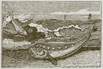 Kaninen och delfinen (gravyr) av English School