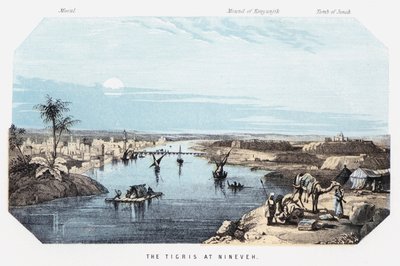 Tigris i Nineve (färgad gravyr) av English School