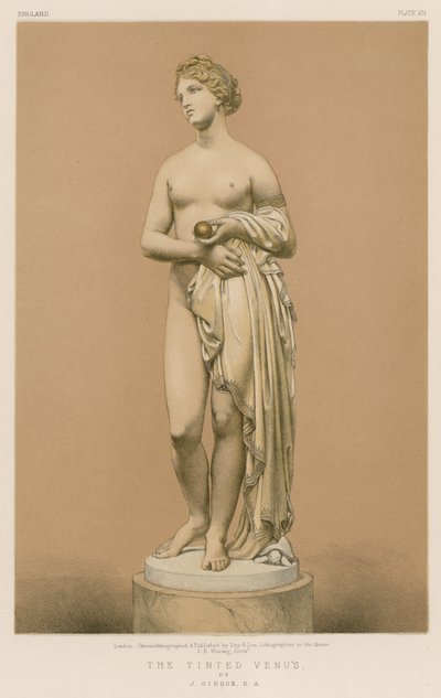 The Tinted Venus av J Gibson, R A av English School
