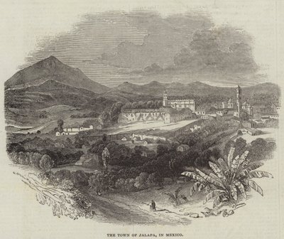 Staden Jalapa, i Mexiko (gravyr) av English School