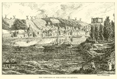 Vingårdarna i Coteau de Saumur (gravyr) av English School