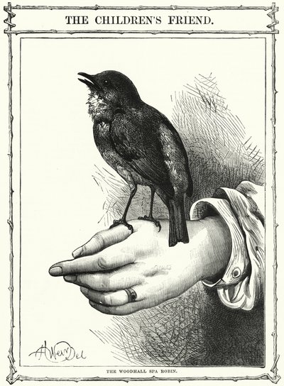 Woodhall Spa Robin (gravyr) av English School
