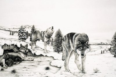 The World of Nature: "Gangster" på fyra ben av English School