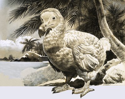 The World of Nature: The Mystery Bird from Mauritius (The Dodo) av English School