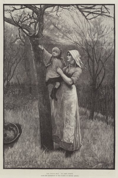 The Young Bud (gravyr) av English School